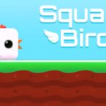 Square Bird