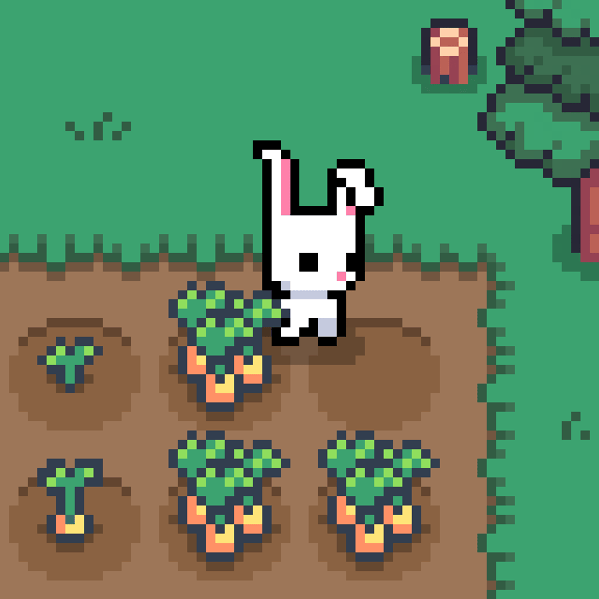 Bunny Farm